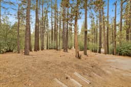 1494-Living Log Cabin