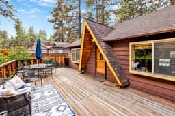2493-Sugar Bear Pines