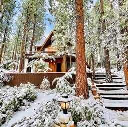 339-The Wilkie Cabin