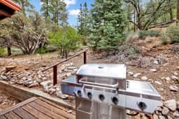 713-Idle Ours Cabin