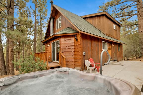 1494-Living Log Cabin