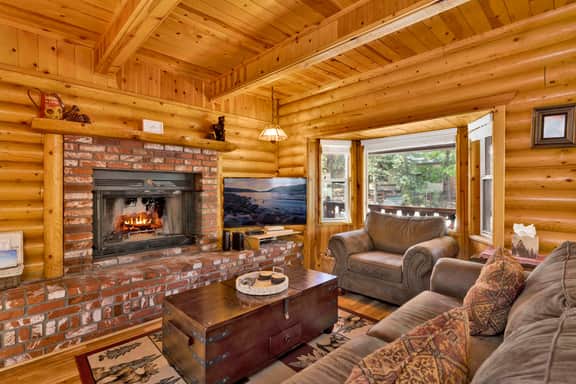 2561-Cub's Cabin