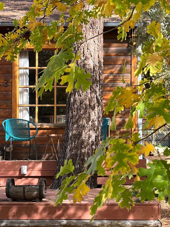 2480-The Nest on Towne Trail